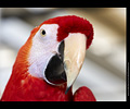 Bath Bird Day 2019