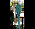 Bath Bird Day 2019