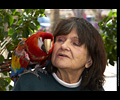 Bath Bird Day 2019