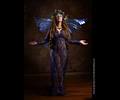 Fairy (Mirelle)