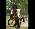 Knights of the Tempest