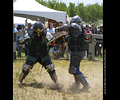 Medieval Combat