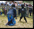 Medieval Combat