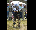 Medieval Combat