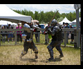 Medieval Combat