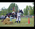 Knights of the Tempest