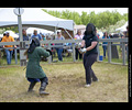 Medieval Combat