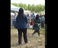 Medieval Combat