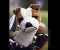 Realities for Children - Golf Tournament