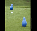 Realities for Children - Golf Tournament