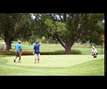Realities for Children - Golf Tournament