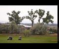 Realities for Children - Golf Tournament