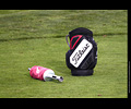 Realities for Children - Golf Tournament