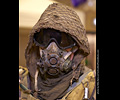 Fort Collins Comic Con 2019