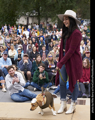 Tour de Corgi - Costume Contest - Pilsner Beer