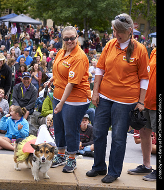 Tour de Corgi - Costume Contest