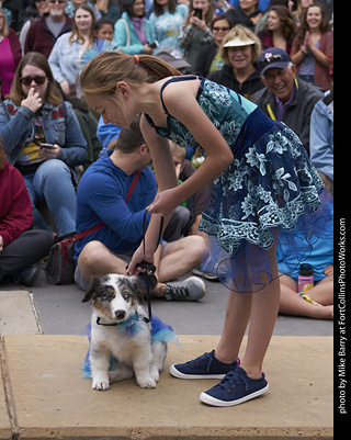 Tour de Corgi - Costume Contest