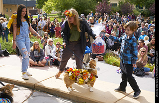 Tour de Corgi - Costume Contest - Winners