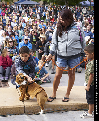 Tour de Corgi - Costume Contest - Scooby Doo