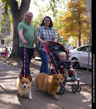Tour de Corgi - Tour #3