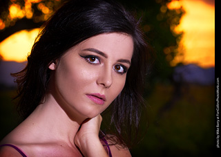 Lily Farm Shoot