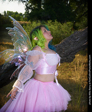 Mollie the Fairy