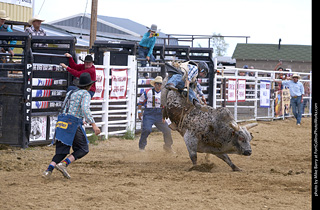 Never Summer Rodeo - Bull Riding