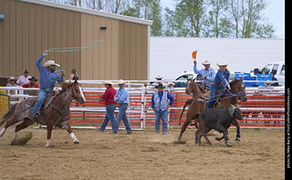 Never Summer Rodeo - Mixed Team Roping