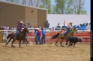 Never Summer Rodeo - Mixed Team Roping