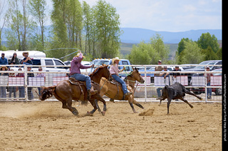 Never Summer Rodeo - Mixed Team Roping