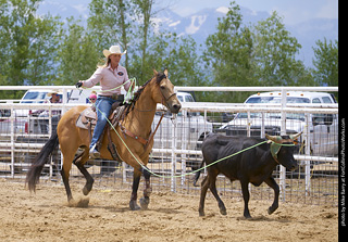 Never Summer Rodeo - Mixed Team Roping