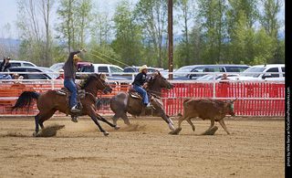 Never Summer Rodeo - Mixed Team Roping