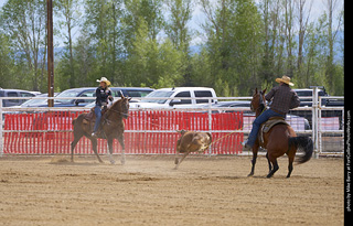Never Summer Rodeo - Mixed Team Roping