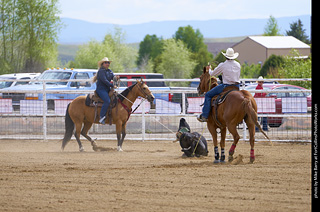 Never Summer Rodeo - Mixed Team Roping
