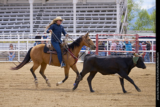 Never Summer Rodeo - Mixed Team Roping