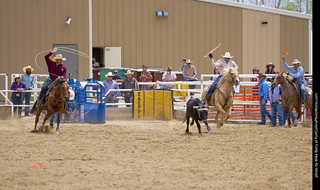 Never Summer Rodeo - Open Team Roping