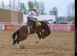 Never Summer Rodeo - Saddle Bronc Riding