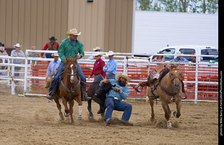 Never Summer Rodeo - Steer Wrestling