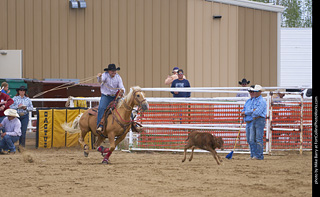 Never Summer Rodeo - Tie Down Roping