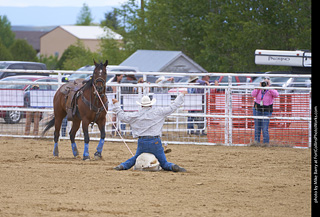 Never Summer Rodeo - Tie Down Roping