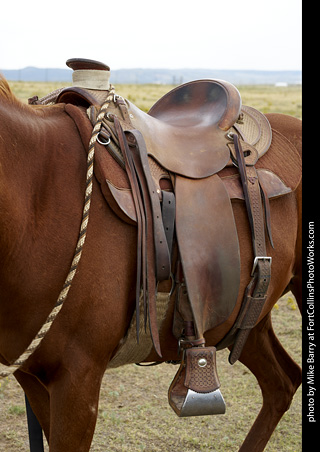 Diggs Cowboy Shoot