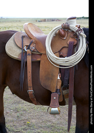 Diggs Cowboy Shoot
