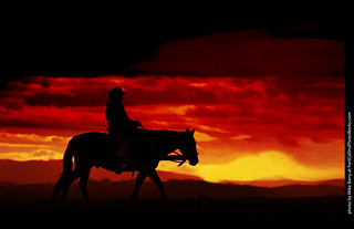 Diggs Cowboy Shoot