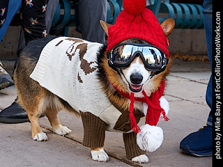 2022-10-01 Tour de Corgi