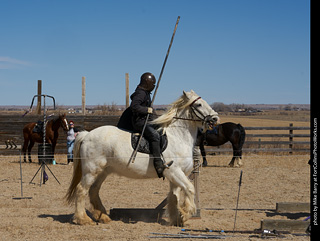 Order of Epona