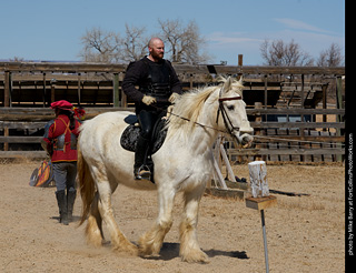 Order of Epona