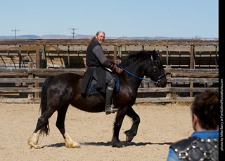 Order of Epona