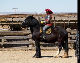 Order of Epona