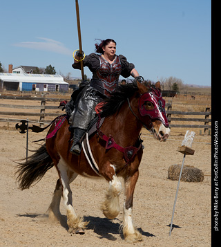 Order of Epona