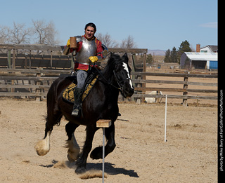 Order of Epona